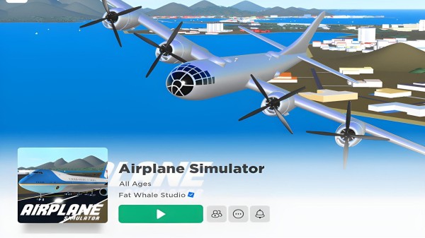 Airplane Simulator Codes